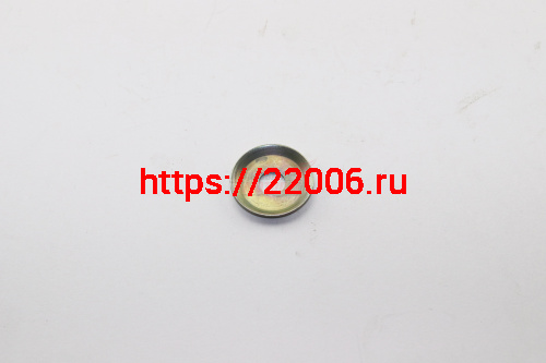 Шайба для насоса "Водолей" (тарельчатая)