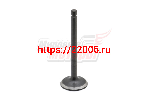 Клапан впускной LIFAN 20,0 л.с. 192F-2T (KP460) (14411-A262T-0001) (LIFAN оригинал) Клапан впускной LIFAN 20,0 л.с. 192F-2T (KP460) (14411-A262T-0001) (LIFAN оригинал)