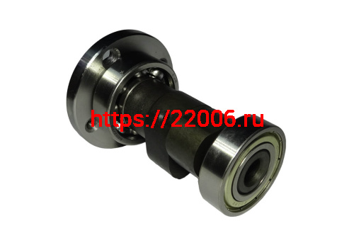 Распредвал в сборе CBB250 см3 Zongshen ZS 165FMM (100200200) (НАБОР) Распредвал в сборе CBB250 см3 Zongshen ZS 165FMM (100200200) (НАБОР)